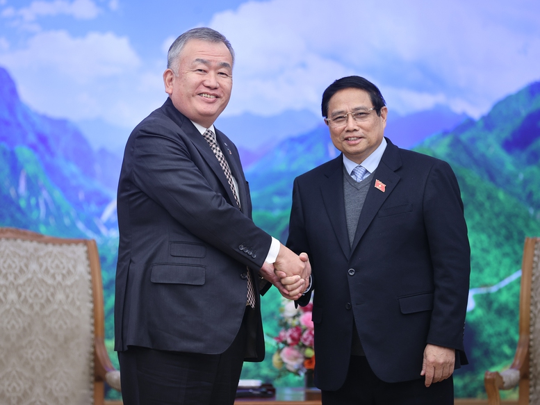 财务可持续