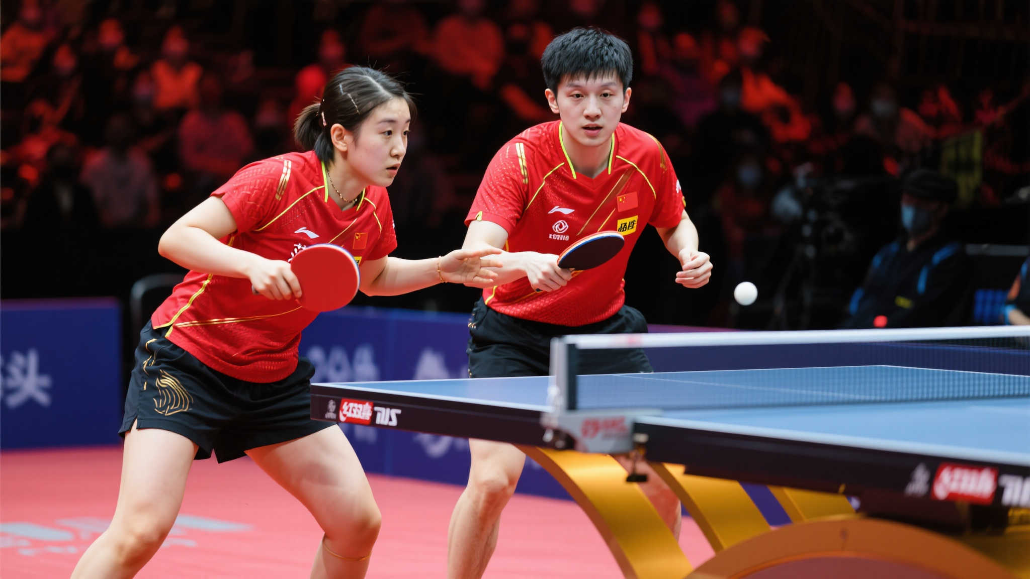 過去幾個賽 過去幾個賽