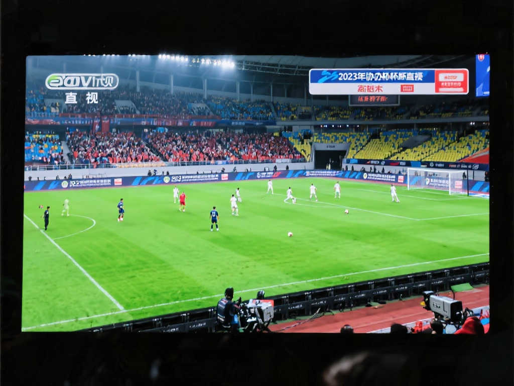 得了无数荣 得了无数荣